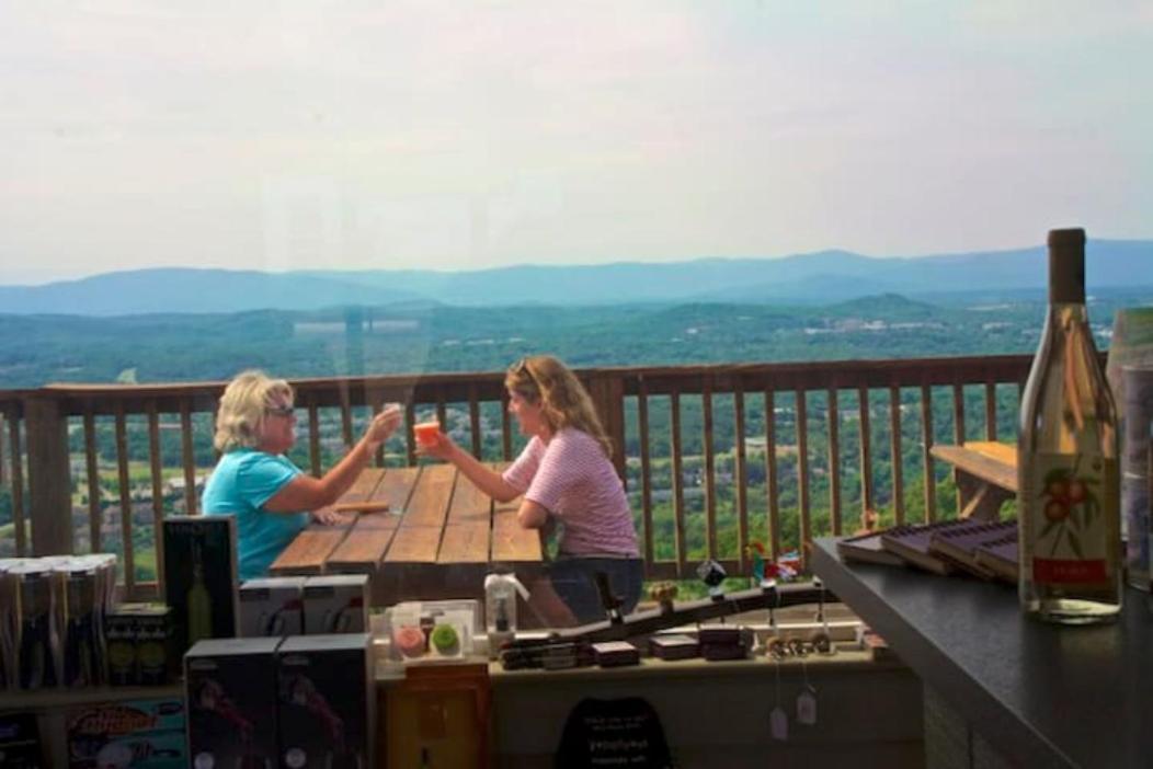 Wintergreen Mount Torry Furnace 외부 사진